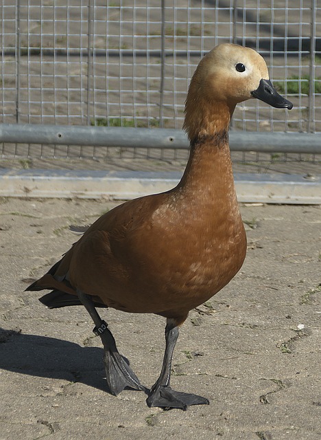 还有多远